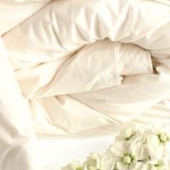 Silk Duvet Inner